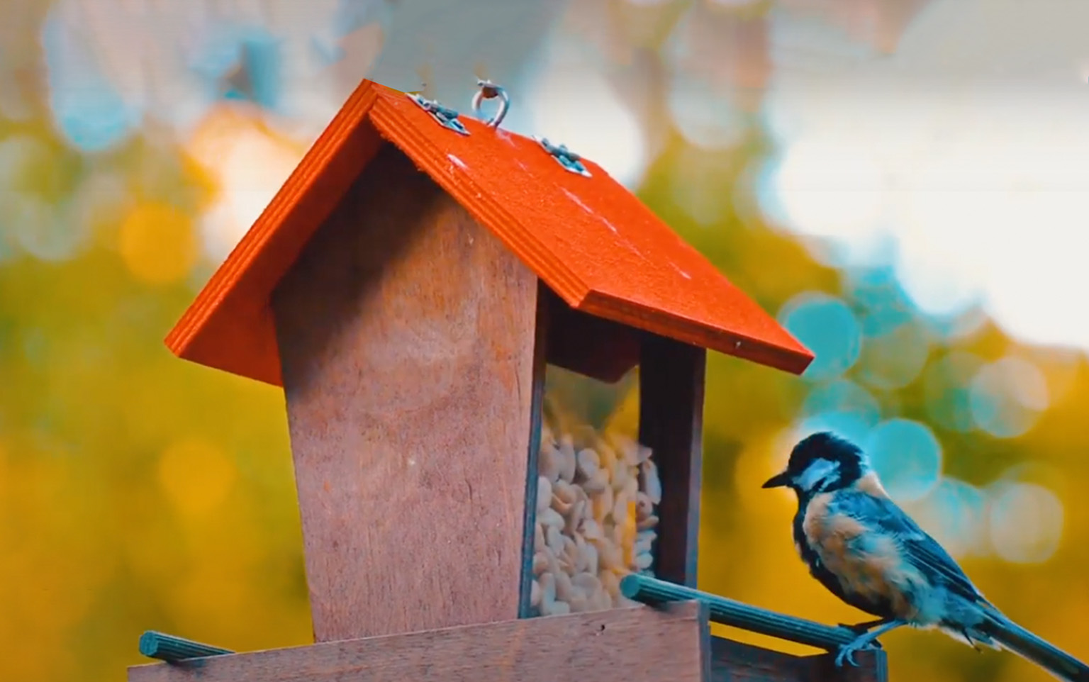 Mutluluğa  Açılan Kapılar